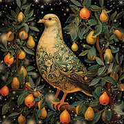 Noel Tatt Pack of 8 Charity Christmas Card**