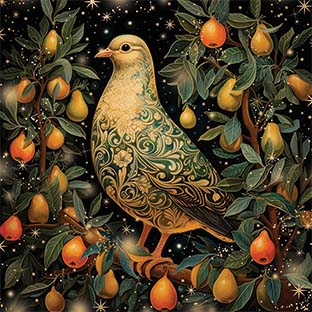 Noel Tatt Pack of 8 Charity Christmas Card**