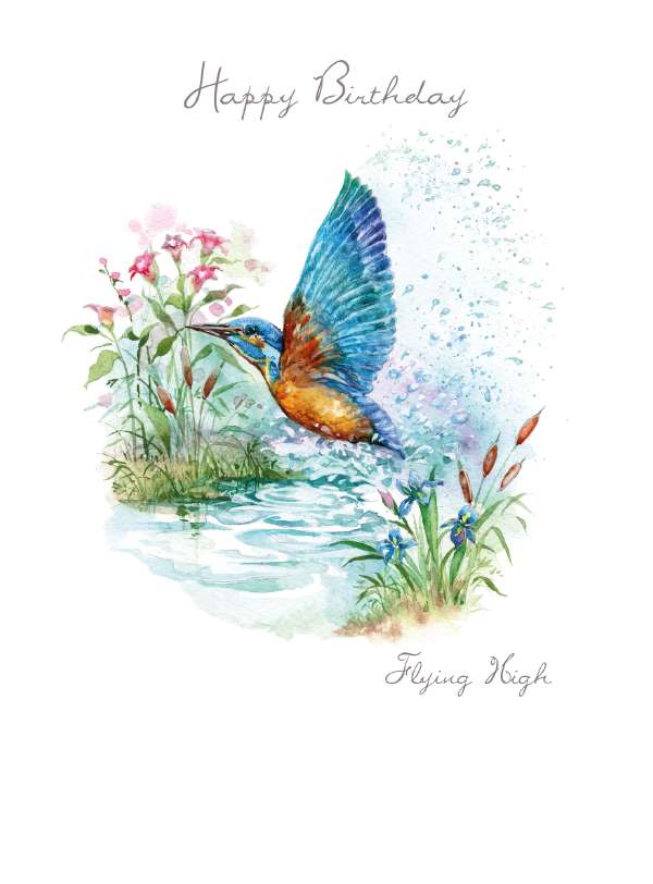 Noel Tatt Kingfisher Birthday Card*