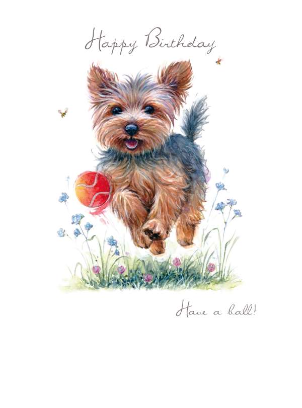 Noel Tatt Open Birthday Card**