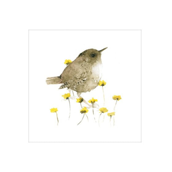 Woodmansterne Caterina Turk Wren Blank Card