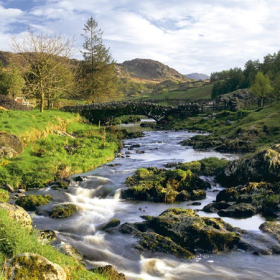 Woodmansterne National Trust Watendlath Beck, Cumbria Blank Card