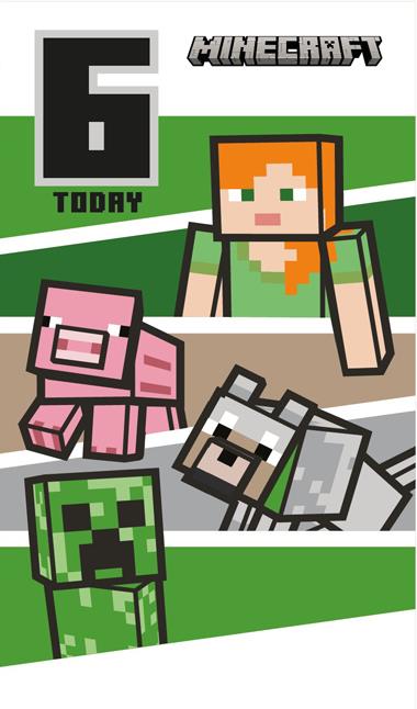 Minecraft 6th Birthday Card*