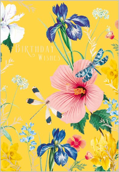 Abacus Dragonfly Hibiscus Birthday Card*