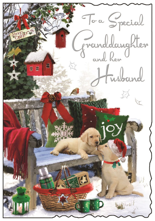 Jonny Javelin Granddaughter & Her Husband Christmas Card**