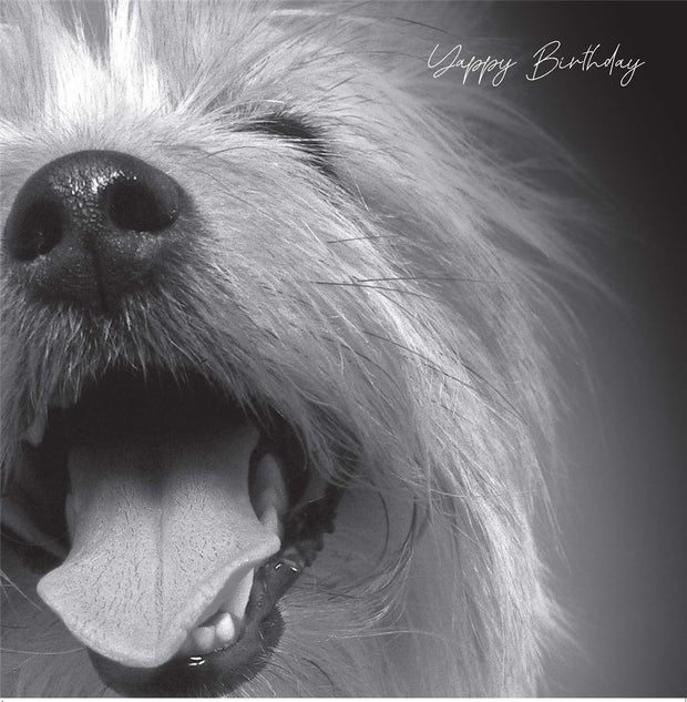 Emotional Rescue Dog Birthday Card*