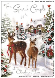 Jonny Javelin Special Couple Christmas Card**