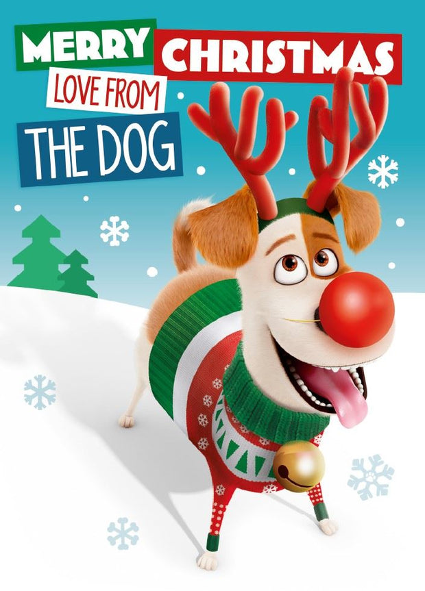 Secret Life Of Pets From The Dog Christmas Card**