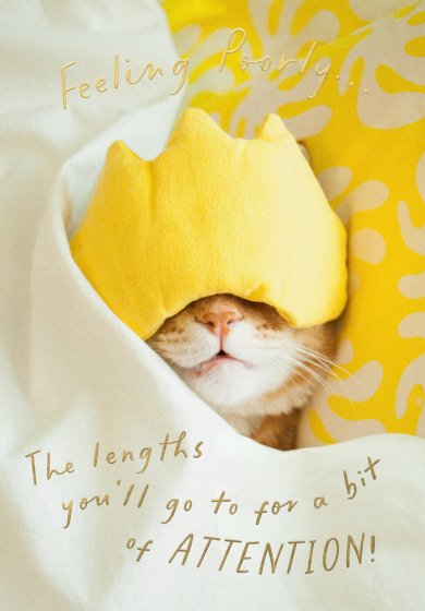 Abacus Get Well Soon Card*