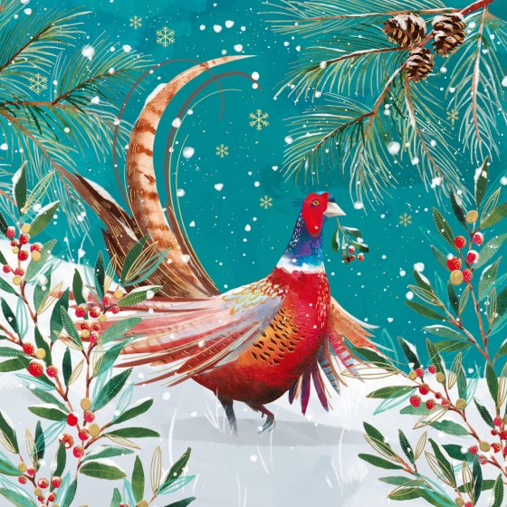 Abacus Festive Pheasant Box of 10 Christmas Cards**