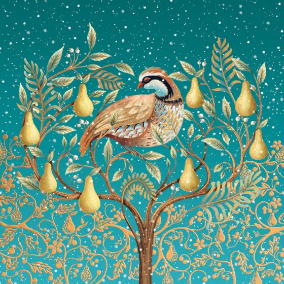 Abacus Partridge in a Pear Tree Box of 10 Christmas Cards**