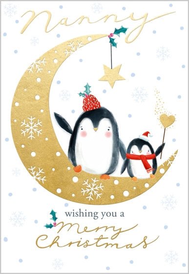 Abacus Nanny Christmas Card**