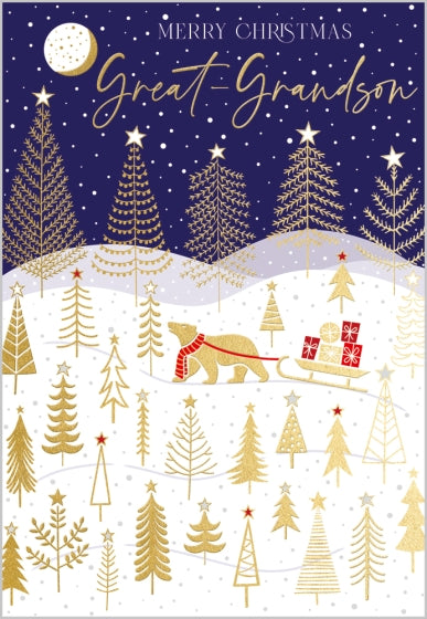 Abacus Great Grandson Christmas Card**