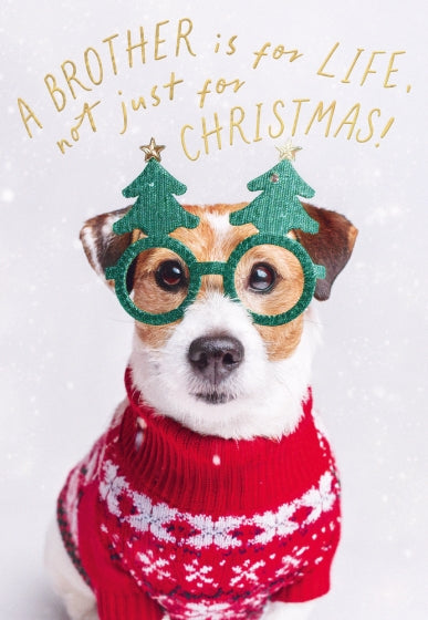 Abacus Brother Christmas Card**