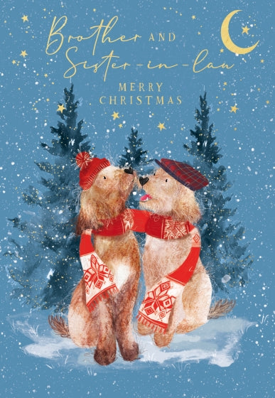 Abacus Brother & Sister in Law Christmas Card**