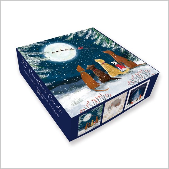Abacus Animals in Festive Woodland Box of 27 Christmas Cards**