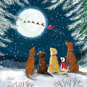 Abacus Animals in Festive Woodland Box of 27 Christmas Cards**