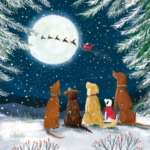 Abacus Animals in Festive Woodland Box of 27 Christmas Cards**