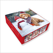 Abacus Festive Dogs Box of 27 Christmas Cards**