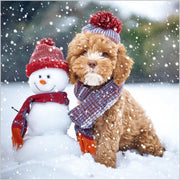 Abacus Festive Dogs Box of 27 Christmas Cards**
