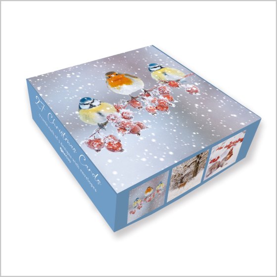 Abacus Snowy Woodland Animals Box of 27 Christmas Cards**