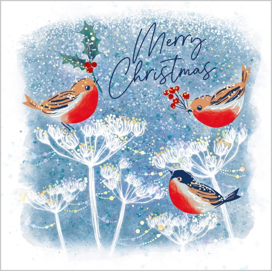 Abacus Pack of 5 Charity Christmas Card**