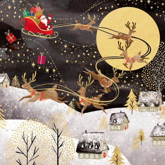Abacus Pack of 5 Charity Christmas Card**