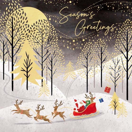 Abacus Pack of 5 Charity Christmas Card**