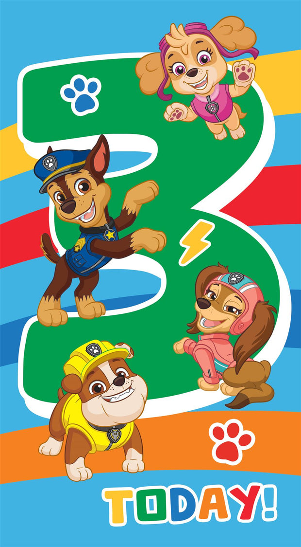 Paw Patrol 3rd Birthday Card*