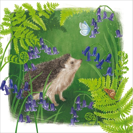 Woodmansterne Flora & Fauna Happy Hedgehog Blank Card