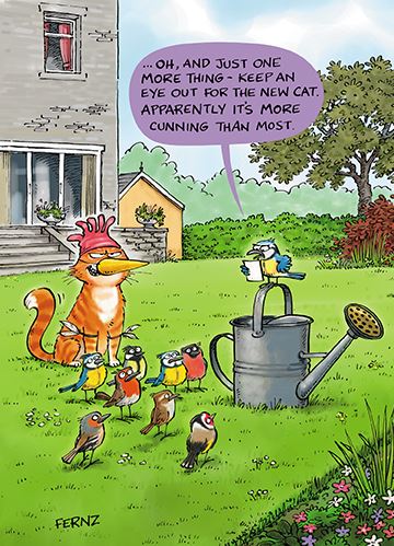 Paper House Humour Birthday Card *