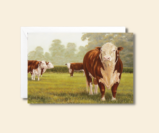 Cachet Hereford Cattle Blank Card