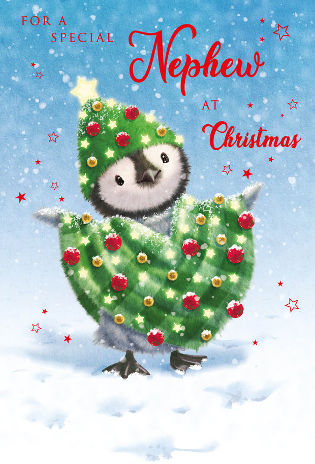 Nigel Quiney Nephew Christmas Card**
