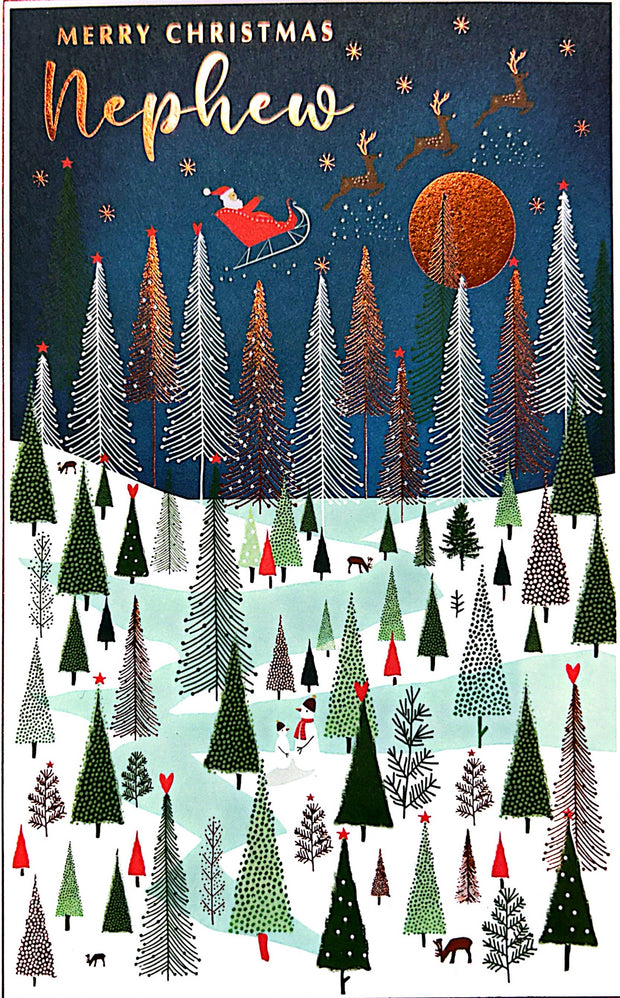 Nigel Quiney Nephew Christmas Card**