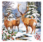 Ling Design Box of 12 Christmas Card**