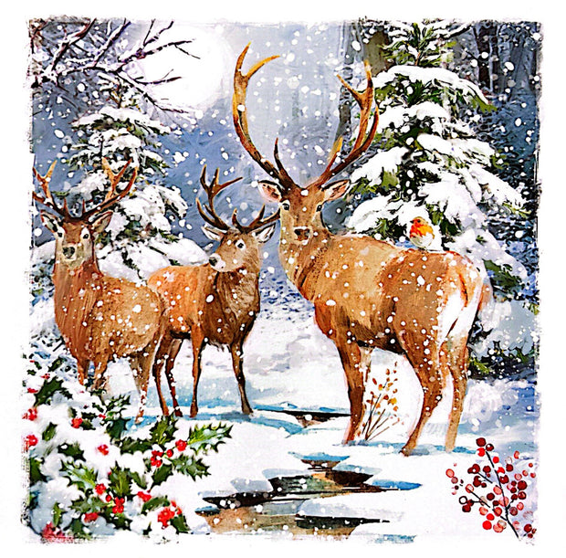Ling Design Box of 12 Christmas Card**