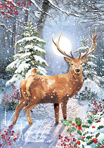 Ling Design Box of 24 Christmas Card**
