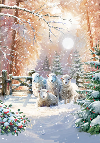 Ling Design Box of 24 Christmas Card**