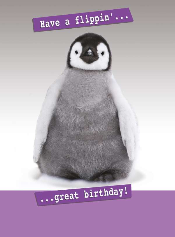 Quitting Hollywood Humour Card*