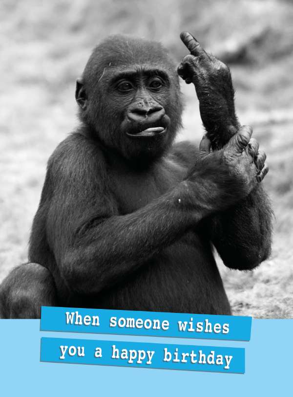 Quitting Hollywood Humour Card*