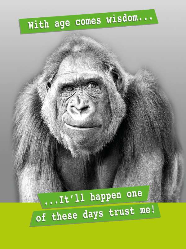 Quitting Hollywood Humour Card*