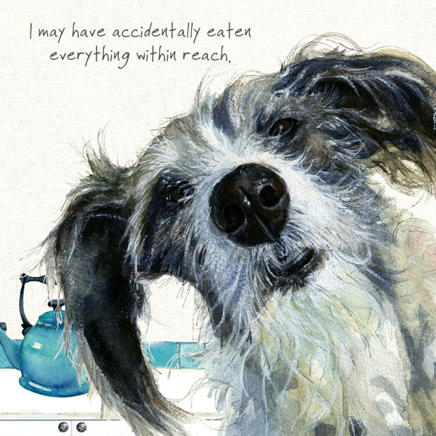 Little Dog Laughed Lurcher Dog Blank Greeting Card*