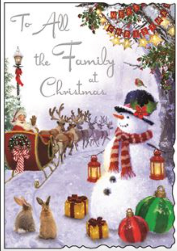 Jonny Javelin All The Family Christmas Card**