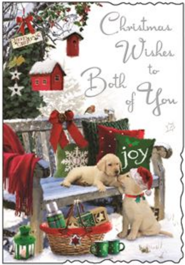 Jonny Javelin Both Of You Christmas Card**