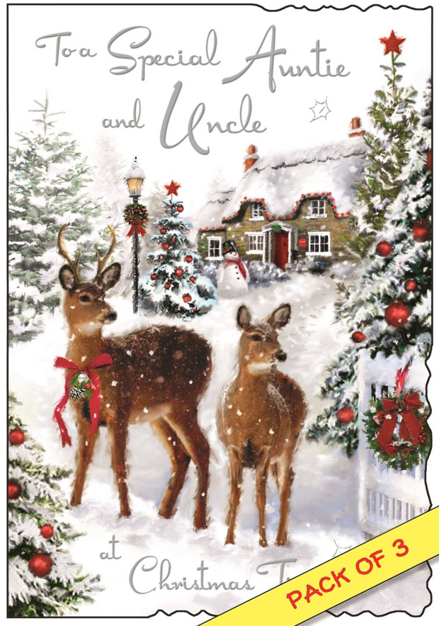 Jonny Javelin Auntie & Uncle Christmas Card**