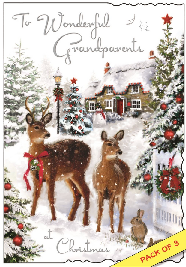Jonny Javelin Grandparents Christmas Card**