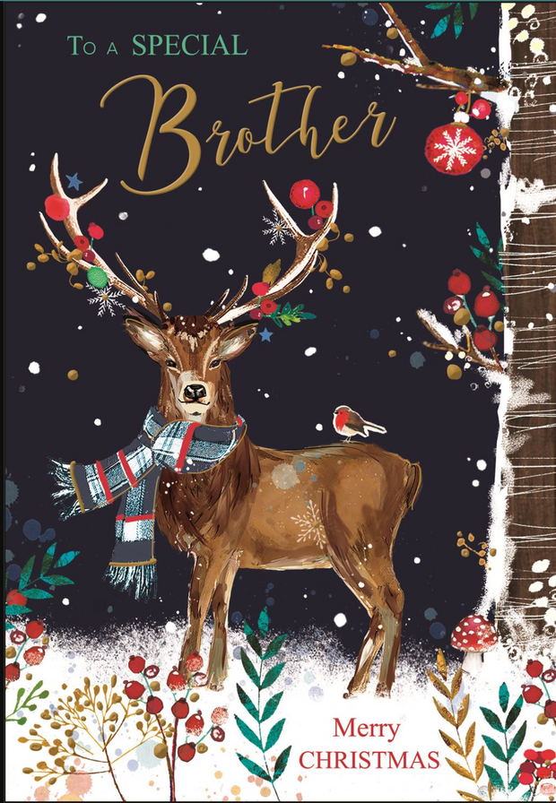 Jonny Javelin Brother Christmas Card**