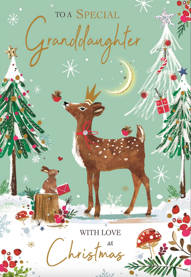 Jonny Javelin Granddaughter Christmas Card**