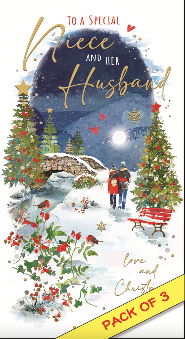 Jonny Javelin Niece & her Husband Christmas Card**
