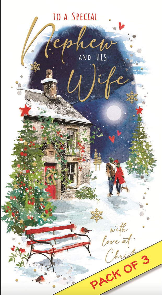 Jonny Javelin Nephew & his Wife Christmas Card**